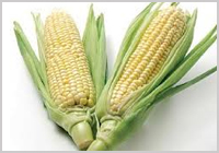 > </div>
<div class=